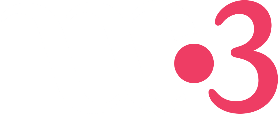 logo w3